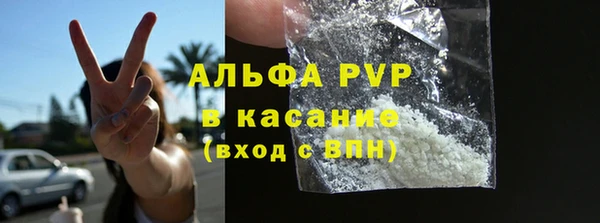 индика Медвежьегорск