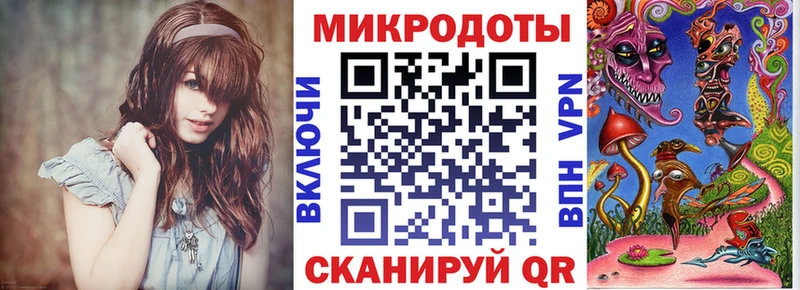 закладка  Бирюсинск  Псилоцибиновые грибы Magic Shrooms 